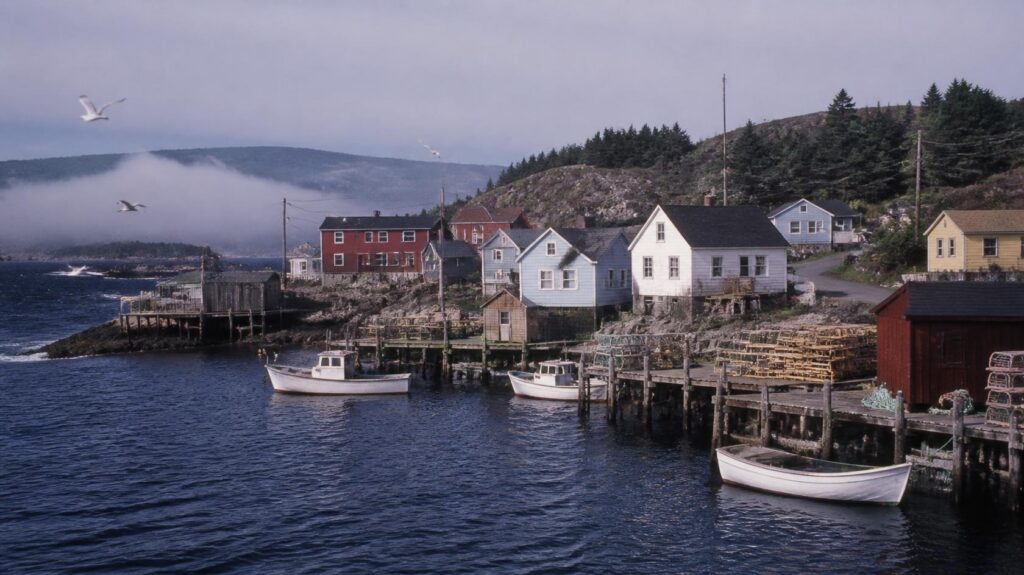 ship harbour 1