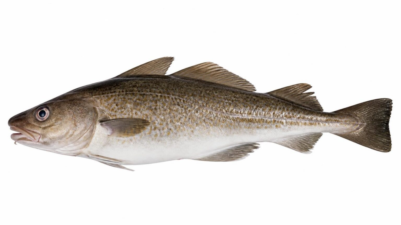 cod7